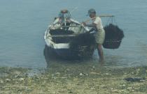 Nusa Lembongan, Bali - seaweed farmer.